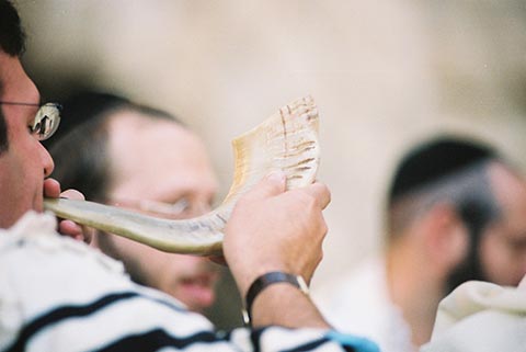 Elul, the shofar of compassion.  Froom the Kabbalah of Rabbi Ashlag